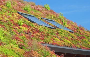 Four Foot living roof systems