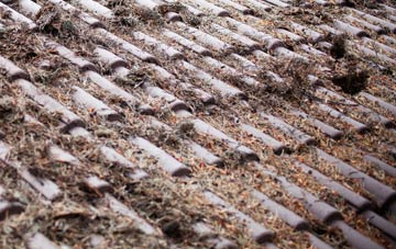 Four Foot roof cleaning companies